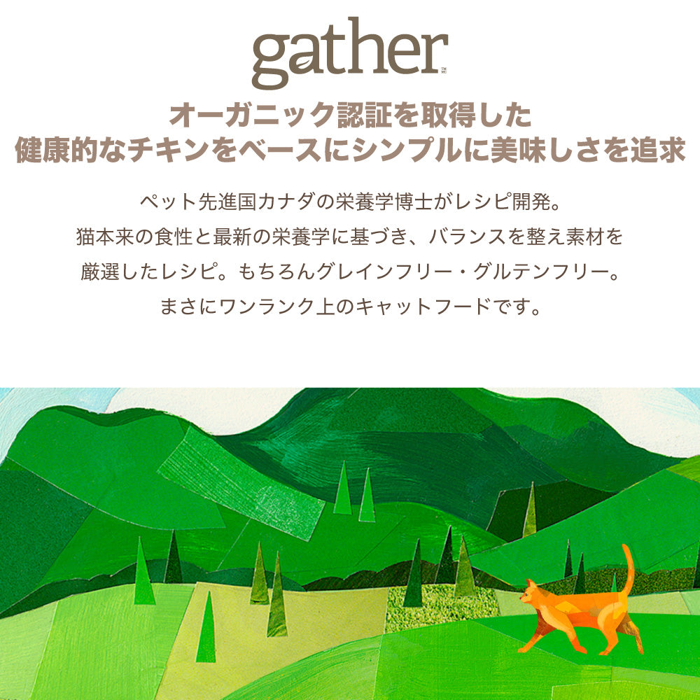 gather!(ギャザー) フリーエーカー キャット 成猫用 3.63kg 猫 フード 猫用 フード キャットフード オーガニック グレインフリー ポテトフリー