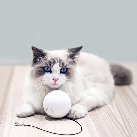 猫 おもちゃ スマートボール 光る LED 回転 ボール 猫じゃらし ねこじゃらし ねこ ネコ 玩具 鈴 運動不足 室内遊び ストレス解消 一人遊び