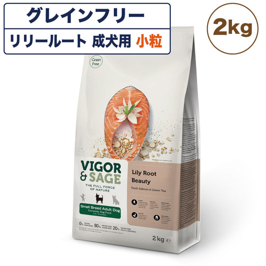 ビゴー&セージ リリールート ビューティー 成犬用 2kg 犬 フード ドッグフード 犬用フード ドライフード アダルト 小粒 ハーブ グレインフリー VIGOR&SAGE