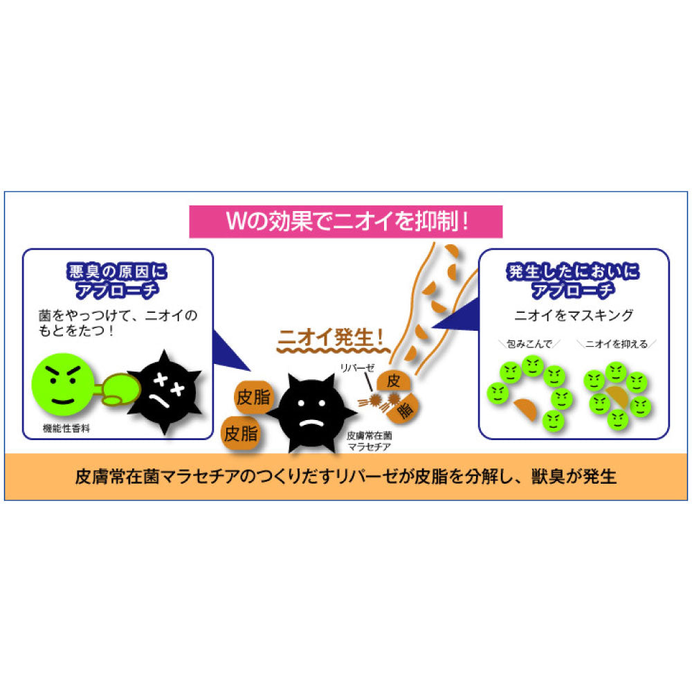 DHC ビューティドック リンスインシャンプー Q10 200ml 犬 シャンプー グルーミング リンスイン しっとり つやつや 国産 ディーエイチシー