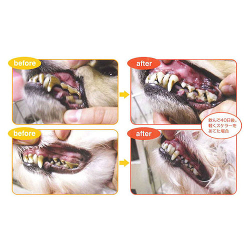 KPS マウスクリーナー 118mll ペット 犬 猫 歯磨き お手入れ 口腔ケア デンタルケア 歯石 歯垢 口臭 歯みがき 天然成分 簡単