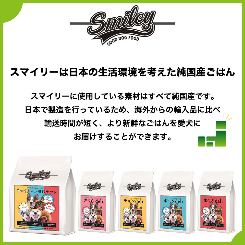 スマイリー 国産チキンdeli 600g 犬 フード 犬用 ドッグフード 無添加 国産 一般食 手作り ベースフード 鶏肉 乳酸菌 低GI Smiley