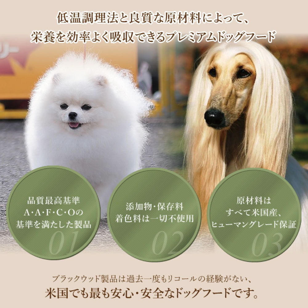 ブラックウッド グレインフリー スモールブリード ニシン&ターキー 6.8kg×2個 小粒 犬 ドッグフード ドライ 成犬 高齢犬 アレルギー 穀物不使用 BLACKWOOD