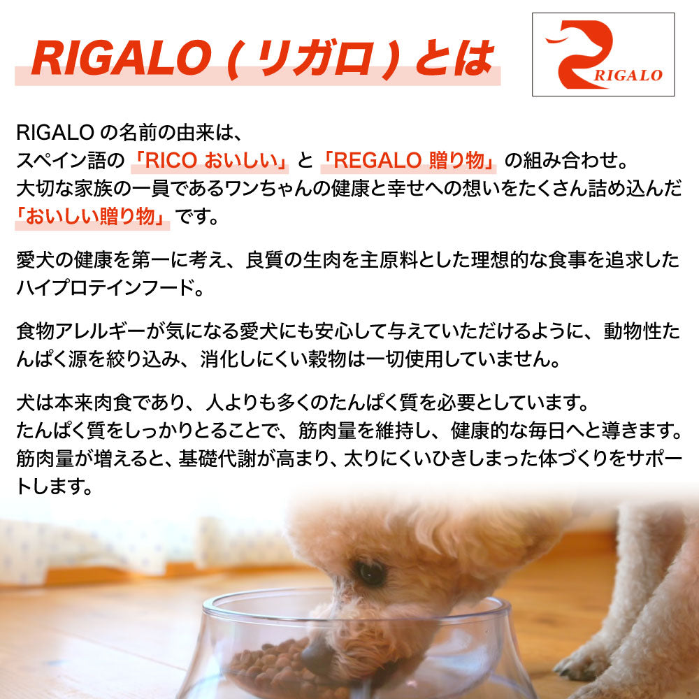 リガロ ハイプロテインレシピ 子犬・成犬用 ラム 1.8kg 犬 ドッグフード ドライ 羊 パピー アダルト 穀物不使用 アレルギー 高たんぱく 総合栄養食 RIGALO