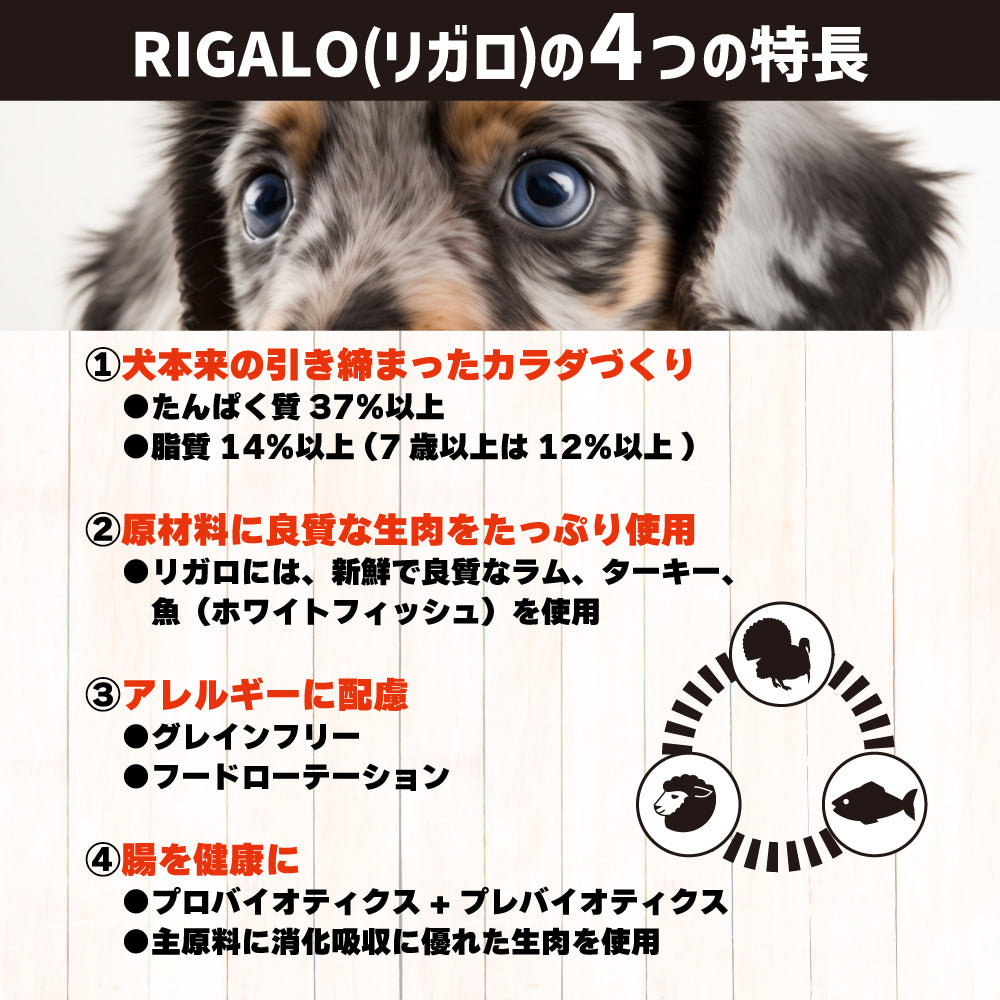 リガロ ハイプロテインレシピ 7歳以上用 フィッシュ 1.8kg 犬 ドッグフード ドライ シニア 穀物不使用 アレルギー 高たんぱく 総合栄養食 RIGALO
