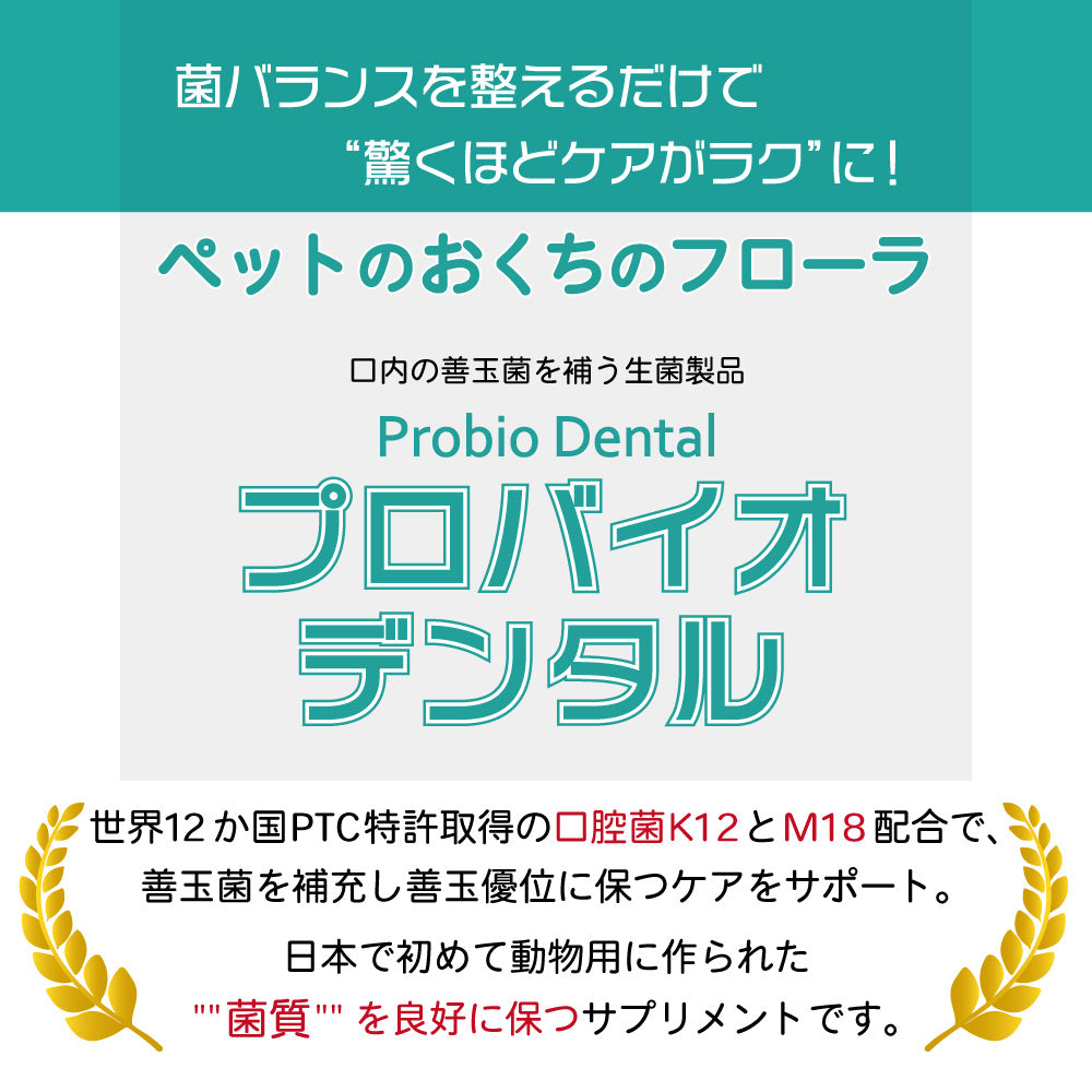 プロバイオデンタル パウダータイプ 14g 犬 猫 乳酸菌 サプリメント 犬用 猫用 デンタルケア 腸内フローラ 改善 口臭 対策 善玉菌 –  ハピポート