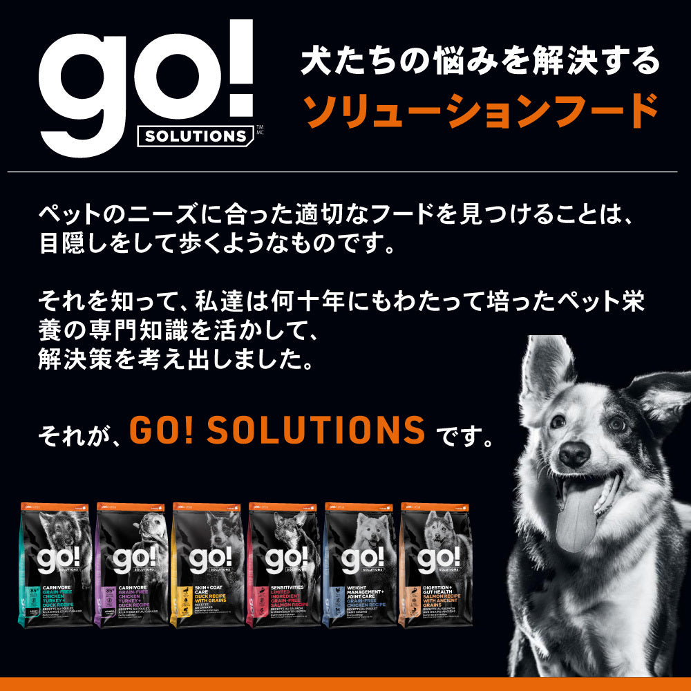 GO! ゴー カーニボア シニア グレインフリー チキン、ターキー＋ダックレシピ 800g 犬 犬用フード ドッグフード ドライ 高タンパク 低炭水化物 無添加