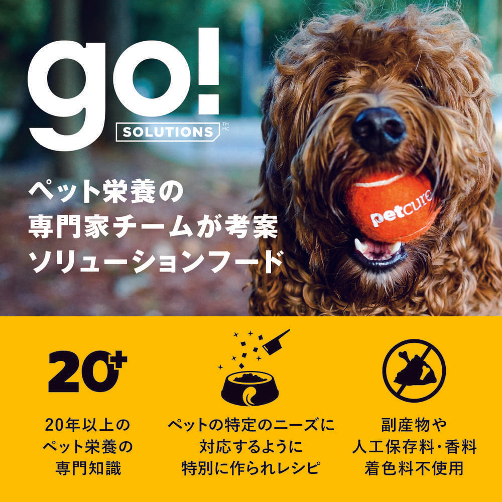 GO! ゴー カーニボア シニア グレインフリー チキン、ターキー＋ダックレシピ 800g 犬 犬用フード ドッグフード ドライ 高タンパク 低炭水化物 無添加