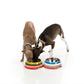 ファズヤード 犬 猫 食器 FuzzYard クアトロ S ペット おしゃれ かわいい フードボウル ウォーターボウル えさ入れ 超小型犬 小型犬 ボーダー 滑り止め