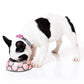 ファズヤード 犬 猫 食器 FuzzYard バブルピンク M ペット おしゃれ かわいい フードボウル ウォーターボウル えさ入れ 小型犬 中型犬 水玉 滑り止め
