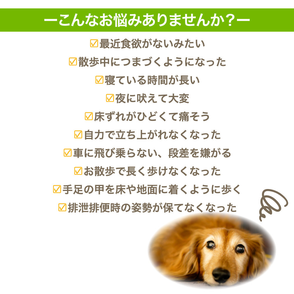 犬潤 65g 犬 猫 ペット サプリメント コラーゲン ペプチド 天然 低分子