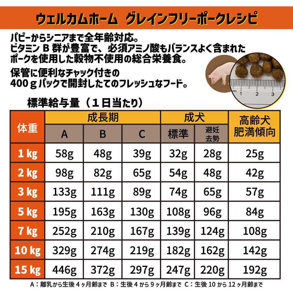 ウェルカムホーム グレインフリー ポークレシピ 2.4㎏(400g×6袋) 犬 犬用 フード ドッグフード ドライ 穀物不使用 小分け 全犬種 全年齢対応 総合栄養食