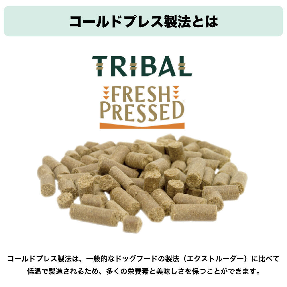 トライバル フレッシュサーモン 400g TRIBAL 犬 ドッグフード 犬用 ドライフード オランダ産 コールドプレス 総合栄養食 グレインフリー 穀物不使用 おすすめ