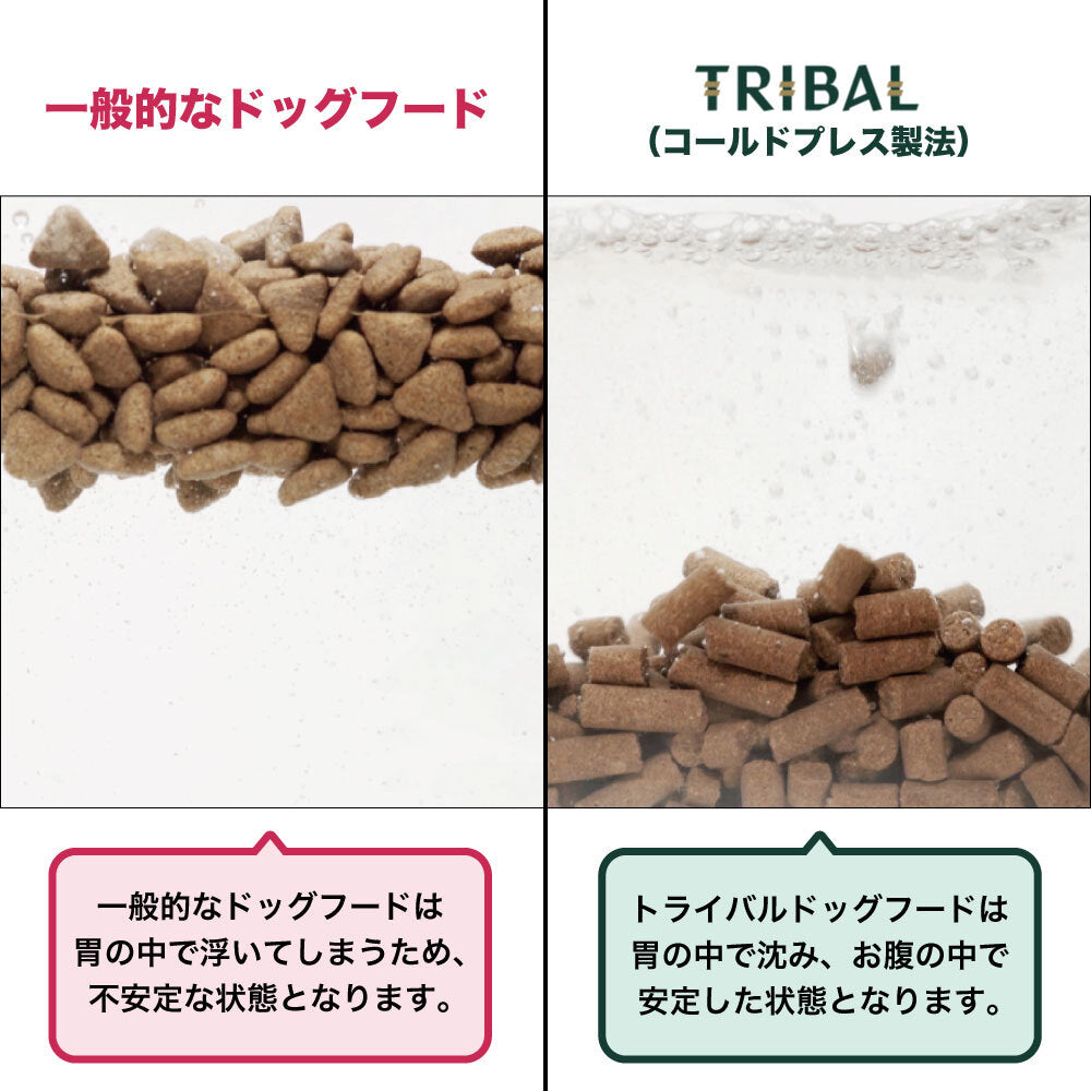 トライバル フレッシュサーモン 400g TRIBAL 犬 ドッグフード 犬用 ドライフード オランダ産 コールドプレス 総合栄養食 グレインフリー 穀物不使用 おすすめ