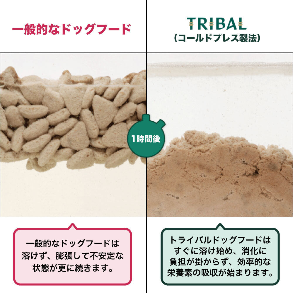 トライバル フレッシュサーモン 400g TRIBAL 犬 ドッグフード 犬用 ドライフード オランダ産 コールドプレス 総合栄養食 グレインフリー 穀物不使用 おすすめ