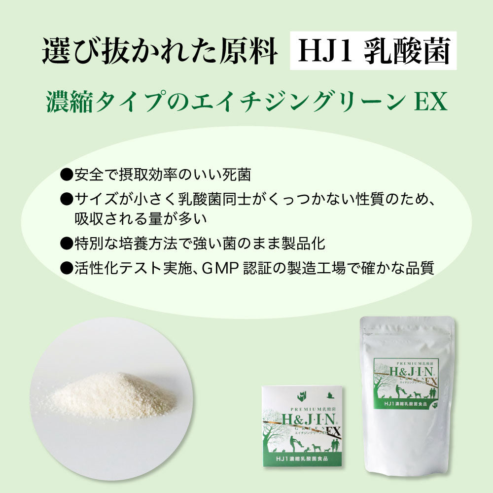Premium 乳酸菌 エイチジングリーンEX H&JIN 人用 150g エイチアンドジン JIN H&J ジン 死菌 HJ1 乳酸菌 腸活 善玉菌 食品 サプリメント
