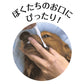 ペットキッス デンタルブラシ レギュラー 1本 犬 猫 ペット 歯みがき 歯ブラシ 歯石 歯垢 口臭対策 デンタルケア 口腔ケア 歯磨き LION PETKISS