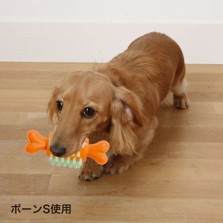 ペティオ ペット歯ブラシTOY ボーン S 犬 トイ 歯みがき 犬用 噛む