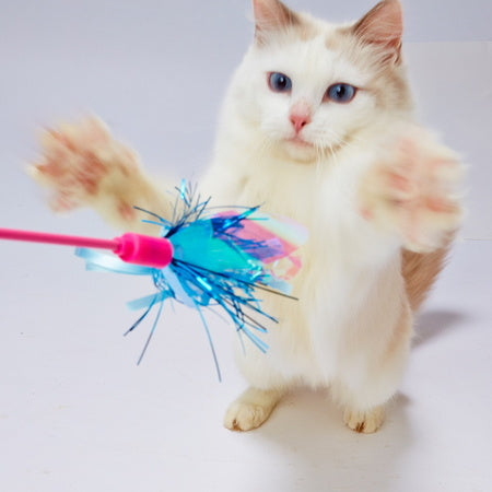ペティオ CATTOY 猫用じゃらし キラキラスティック 猫 じゃらし 猫用 おもちゃ テープ フィルム トイ ストレス発散 運動不足