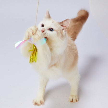 ペティオ CATTOY 猫用じゃらし キラキラトンボ 猫 じゃらし 猫用 おもちゃ ボール テープ フィルム トイ ストレス発散 運動不足