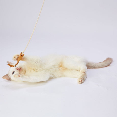 ペティオ 猫用おもちゃ necoco レザー 猫じゃらし ヒモ付きレザー 猫 おもちゃ 猫用 ねこじゃらし トイ 牛革 ストレス発散 運動不足