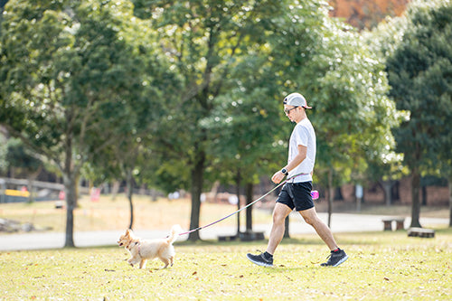 イージードッグ ロードランナー ライト レッド 犬用 リード 腰に巻く 犬 散歩 ハンズフリー ランニング ジョギング 小型犬 中型犬 EZYDOG