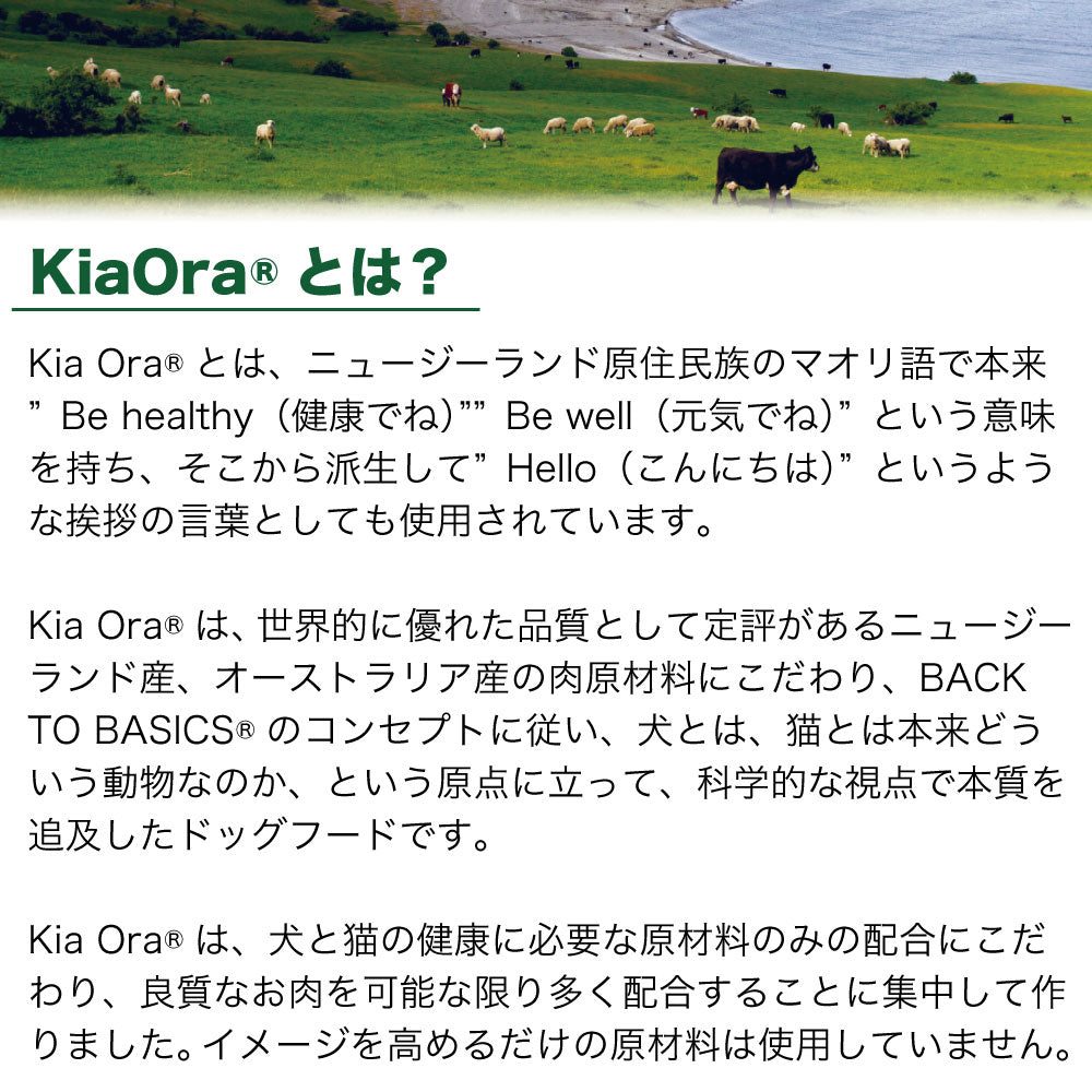 キアオラ キャットフード カンガルー 300g 猫 フード ドライ グレインフリー 全年齢対応 穀物不使用 アレルギー配慮 カンガルー肉 kiaora