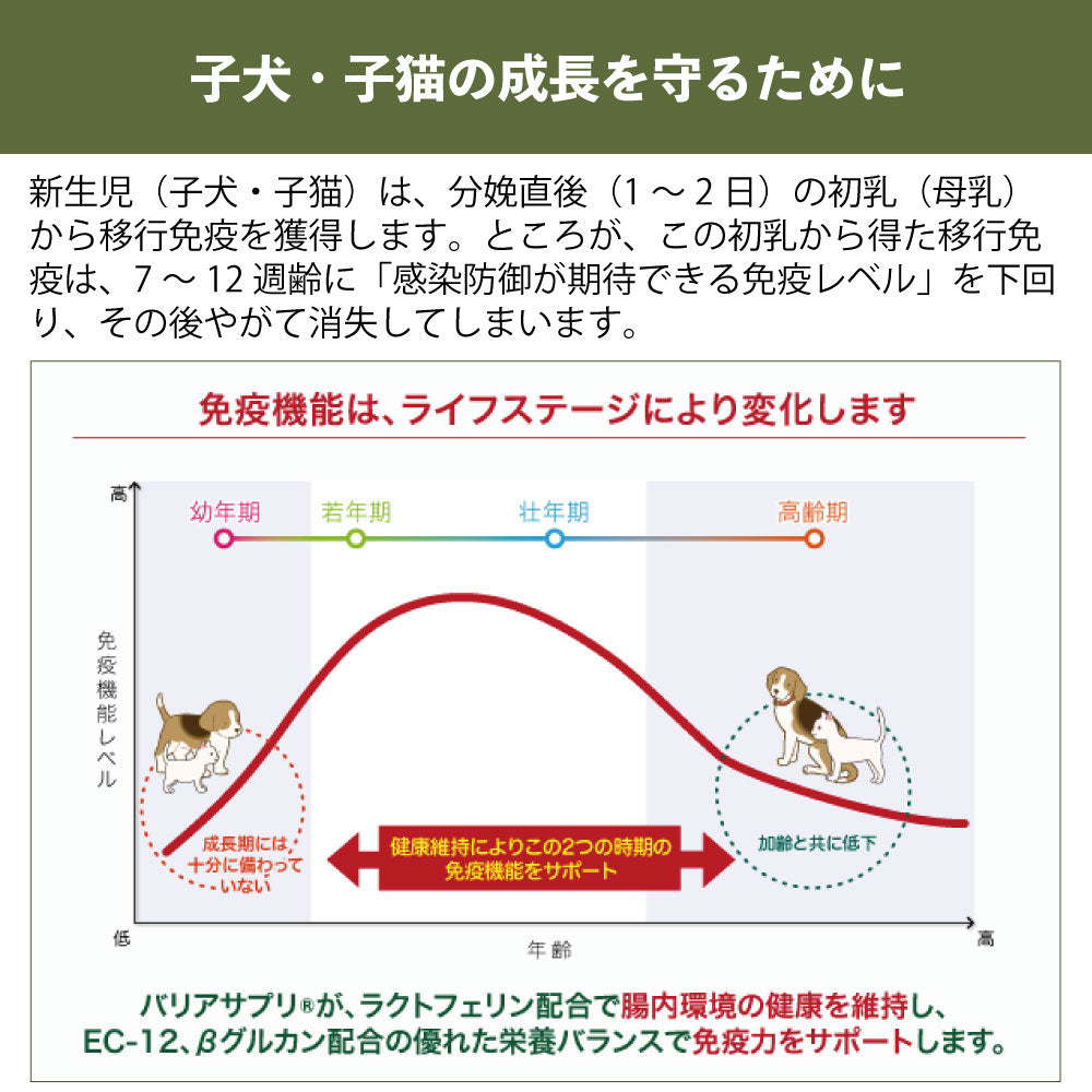 バリアサプリ ドッグ パピー・ジュニア 180g 犬 粉末 サプリメント 犬