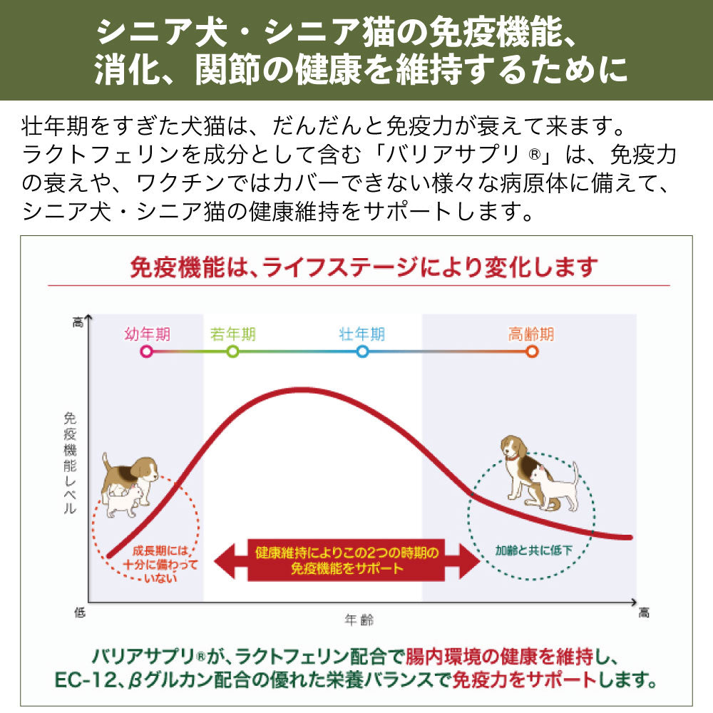 バリアサプリ ドッグ アダルト・シニア 500g 犬 粉末 サプリメント 犬