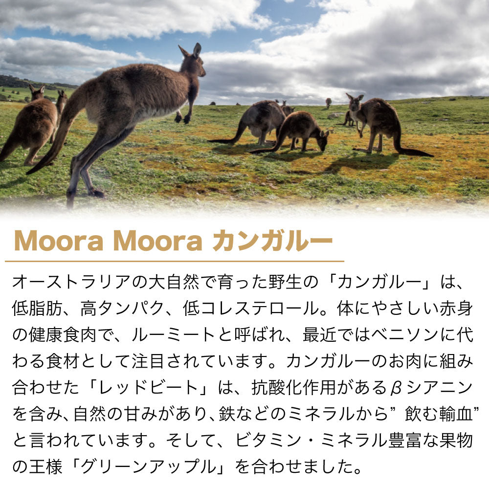 ムーラムーラ トリーツ ドッグ カンガルー 40g 犬 おやつ 無添加 フリーズドライ オヤツ ご褒美 トッピング 手作り食 アレルギー配慮 Moora Moora