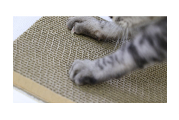 サンコー おくだけ吸着 壁に貼れる 猫のつめとぎ 段ボール 猫 爪とぎ 壁に貼れる ずれない ツメトギ 猫用 壁 壁掛け 壁付け ネコ おもちゃ 日本製 ケア 