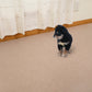 サンコー おくだけ吸着 ペット用 撥水タイルマット 30×30cm 同色 20枚入 ベージュ 犬 猫 タイルマット 吸着 撥水 床暖房対応 薄型 マット ずれない おすすめ 