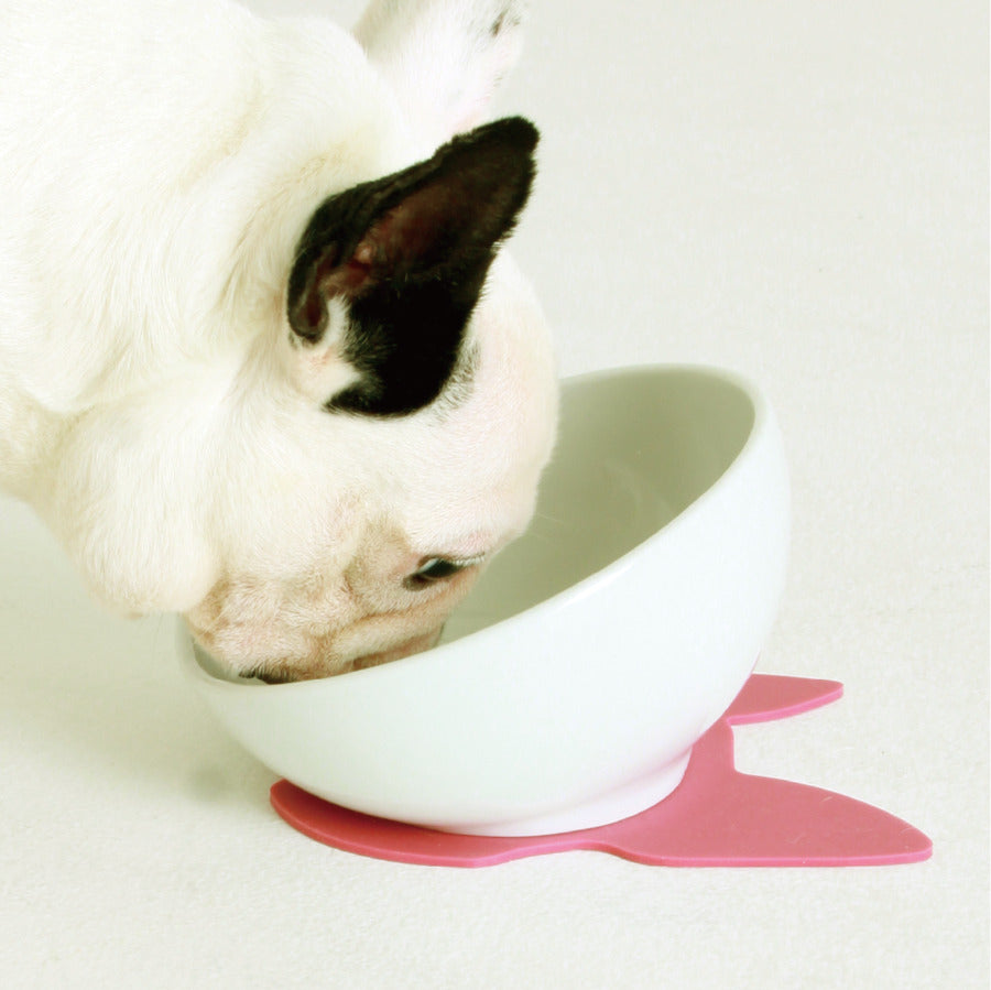 ハリオ BUHIプレ ホワイト HARIO 犬 フレブル 食器 餌入れ フードボウル 陶器 えさ入れ 食べやすい こぼれにくい 斜め フレンチブルドッグ用 おしゃれ 日本製