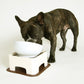 ハリオ ワンプレ わんテーブル ショコラブラウン HARIO 犬 テーブル 食器台 犬用 テーブル 傾斜のある ご飯台 小型犬 中型犬  介護 ペット