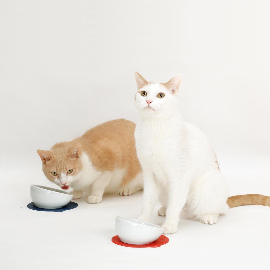 ハリオ にゃんプレ ショートヘア ダークブルー HARIO 猫 食器 餌入れ フードボウル 猫用 えさ入れ 陶器 食べやすい 浅め 電子レンジ可 短毛 おしゃれ 日本製