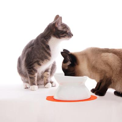 ハリオ にゃんプレ ダブル ホワイト HARIO 猫 食器 餌入れ フードボウル 猫用 えさ入れ 陶器 食べやすい 高さがある 電子レンジ可 おしゃれ 日本製