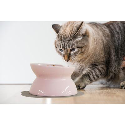 ハリオ にゃんプレ ダブル ブルーグレイ HARIO 猫 食器 餌入れ フードボウル 猫用 えさ入れ 陶器 食べやすい 高さがある 電子レンジ可 おしゃれ 日本製