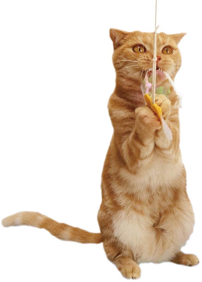 ペッツルート カシャカシャ 紙ひもじゃらし チョウ 猫 おもちゃ 猫じゃらし 日本製 天然素材 歯みがき 釣竿 人気 猫用 ねこじゃらし ひも ねこ 歯磨き