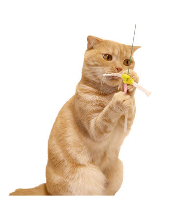 ペッツルート 紙ひもびょんびょん 猫 おもちゃ 玩具 釣り竿 運動不足 ストレス解消 ネコ デンタル 歯磨き ねこ ねこじゃらし 猫じゃらし 日本製
