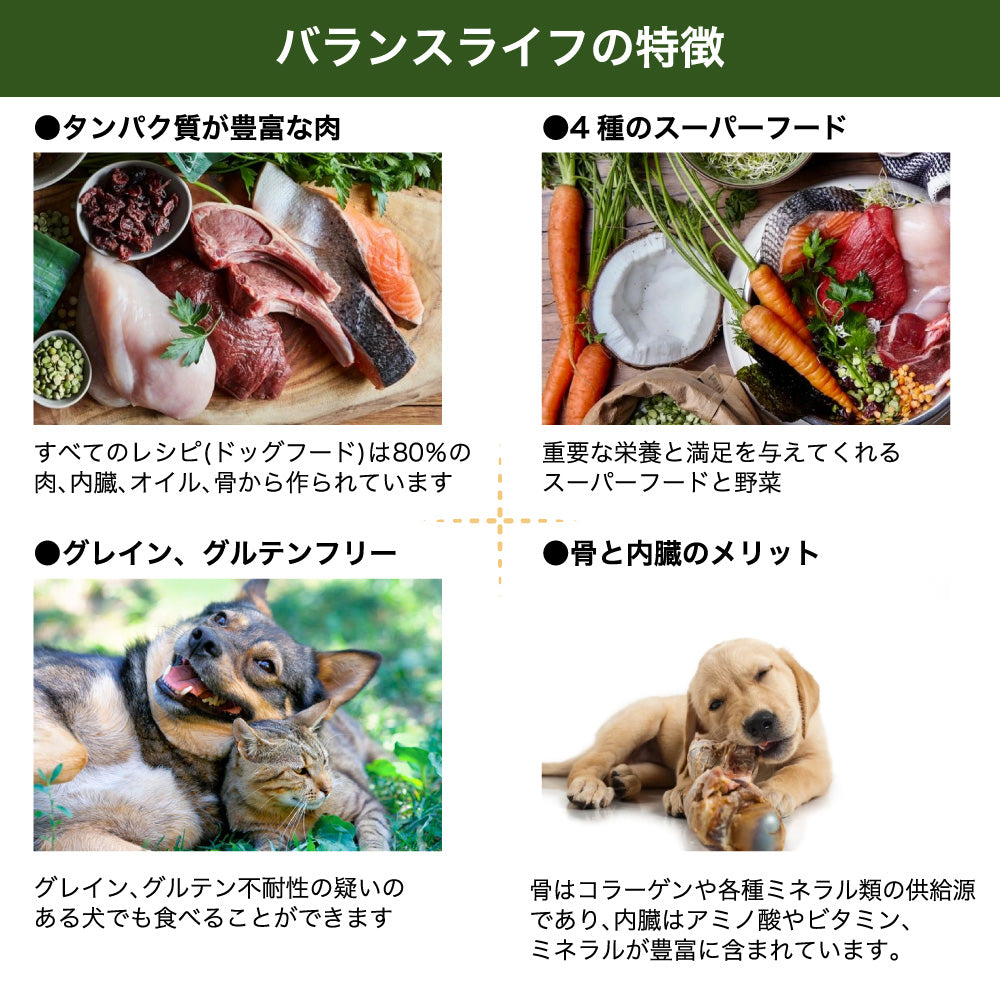 バランスライフ カンガルー 1kg 犬 犬用フードドッグフード ペット フード 生食 低温乾燥 全年齢用 グレインフリー エアードライ BALANCED LIFE