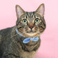 猫の暮らし サイズが変えられるシュシュカラー ギンガム 猫 首輪 シュシュ 猫用 カラー かわいい おしゃれ チェック 柄 ゴム入り 日本製