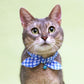 猫の暮らし サイズが変えられるシュシュカラー リップル  猫 首輪 シュシュ 猫用 カラー かわいい おしゃれ チェック 柄 鈴付き ゴム入り 日本製