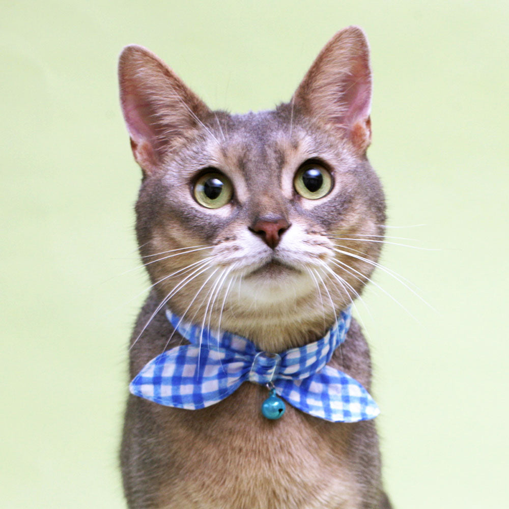 猫の暮らし サイズが変えられるシュシュカラー リップル  猫 首輪 シュシュ 猫用 カラー かわいい おしゃれ チェック 柄 鈴付き ゴム入り 日本製