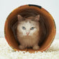 ペティオ 猫用おもちゃ エシカルドア タフクラフト 猫トンネル 猫 おもちゃ 猫用 トイ 洗える エコ 丈夫 ストレス発散 運動不足 柄 魚