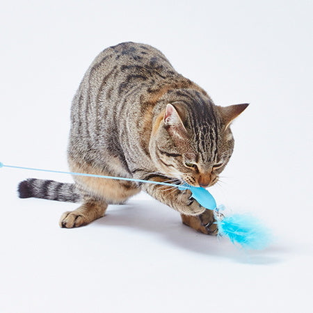 ペティオ ヘルス プログラム キャットトリーツじゃらし 猫 じゃらし 猫用 おもちゃ トイ ストレス発散 運動不足