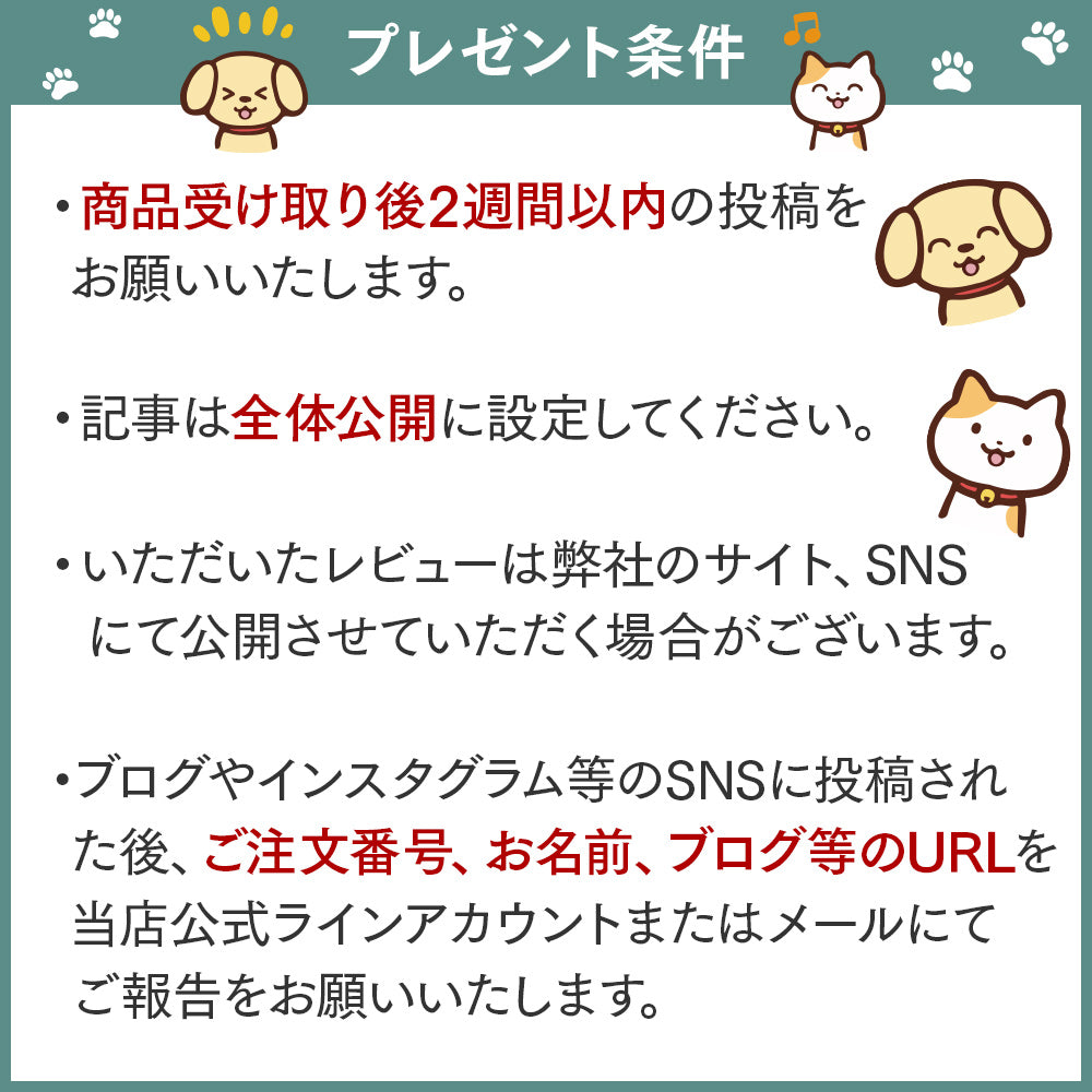 【安心1年保証】 猫 犬 ペット 自動 給餌器 自動給餌器 自動餌やり機 タイマー 猫用 小型犬用 自動給餌機 自動餌やり器 ねこ いぬ お留守番対策 取扱説明書付 ごはんでるでる君 【正規品】