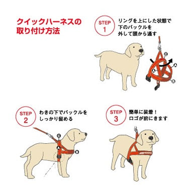 イージードッグ クイックハーネス S 犬 ハーネス 犬用 胴輪 装着簡単 丈夫 外れにくい お出かけ 散歩 小型犬 中型犬 EZYDOG – ハピポート