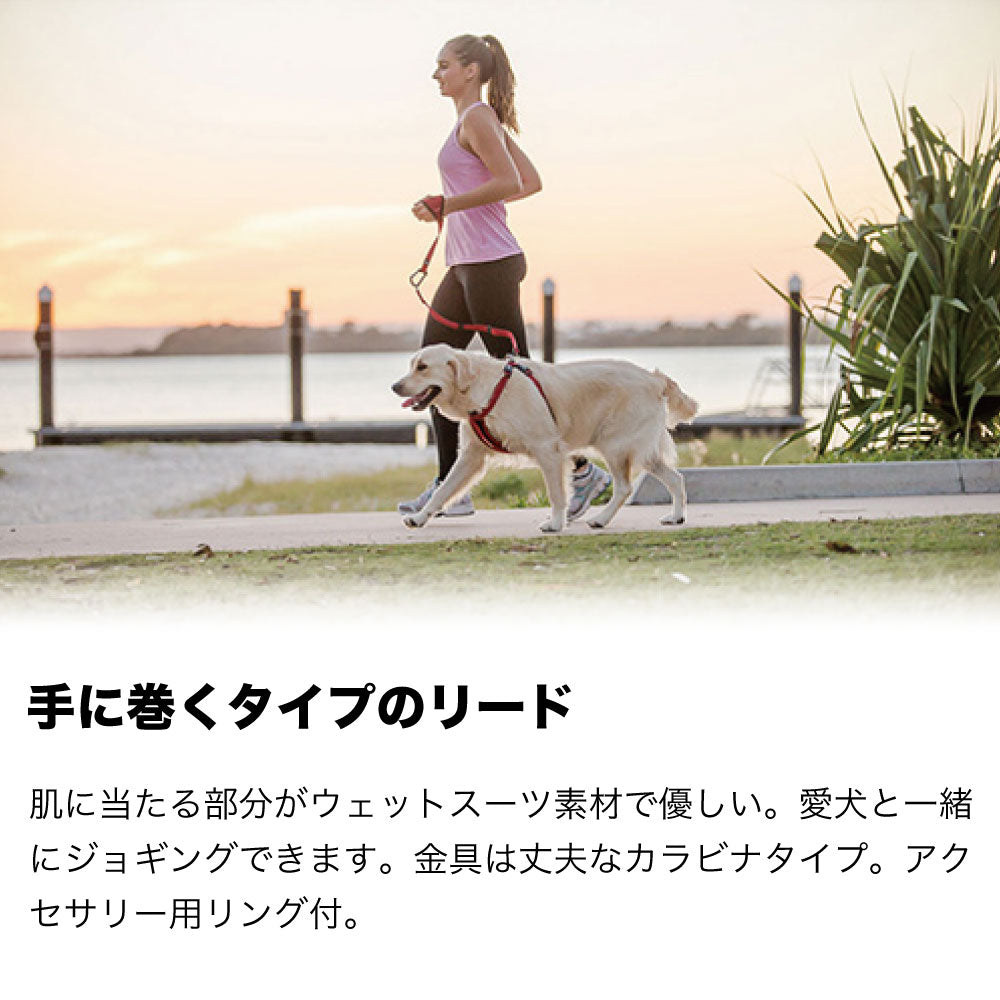 イージードッグ ハンディリード 犬 リード 手巻き 犬用 平紐型 散歩 お出かけ 握りやすい 小型犬 中型犬 大型犬 EZYDOG