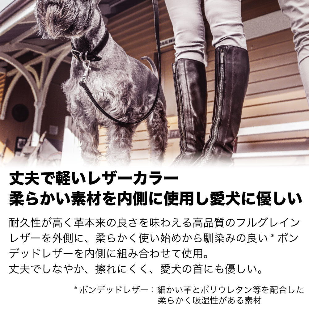 イージードッグ レザーカラー XXS 犬 首輪 犬用 カラー 本革 丈夫 散歩 お出かけ おしゃれ オックスフォード レザー 超小型犬 EZYDOG