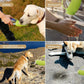 ペット用 犬 散歩 給水ボトル 携帯用 給水 水筒 ウォーターボトル 水入れ 水飲み スクイーズタイプ 580ml